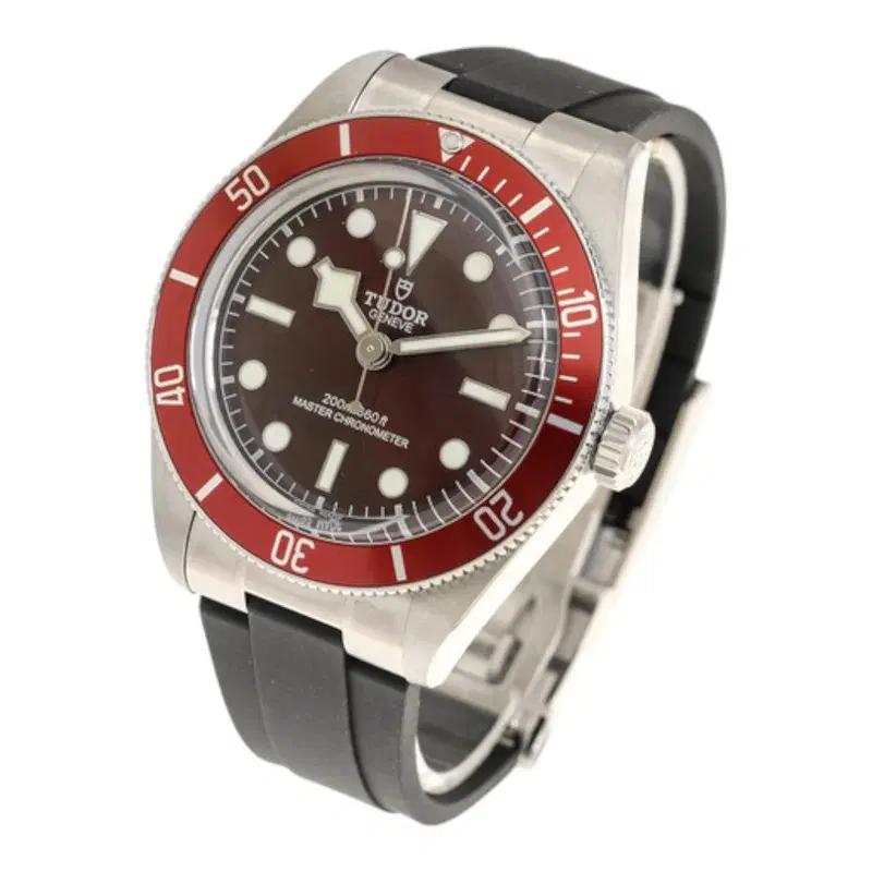 Tudor Black Bay 58. M7939A1A0RU-0003