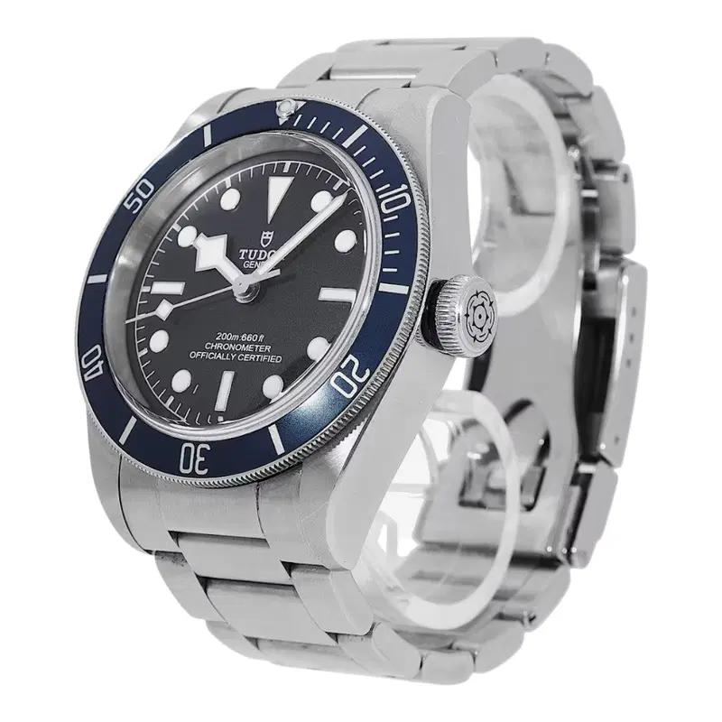 Tudor Black Bay. 79220B