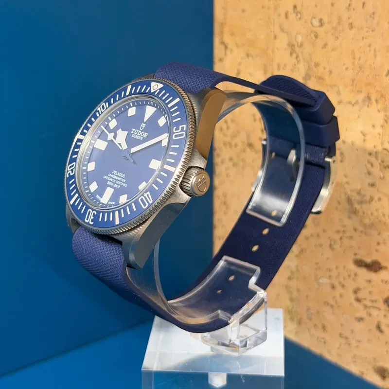 Tudor Pelagos. 25707B