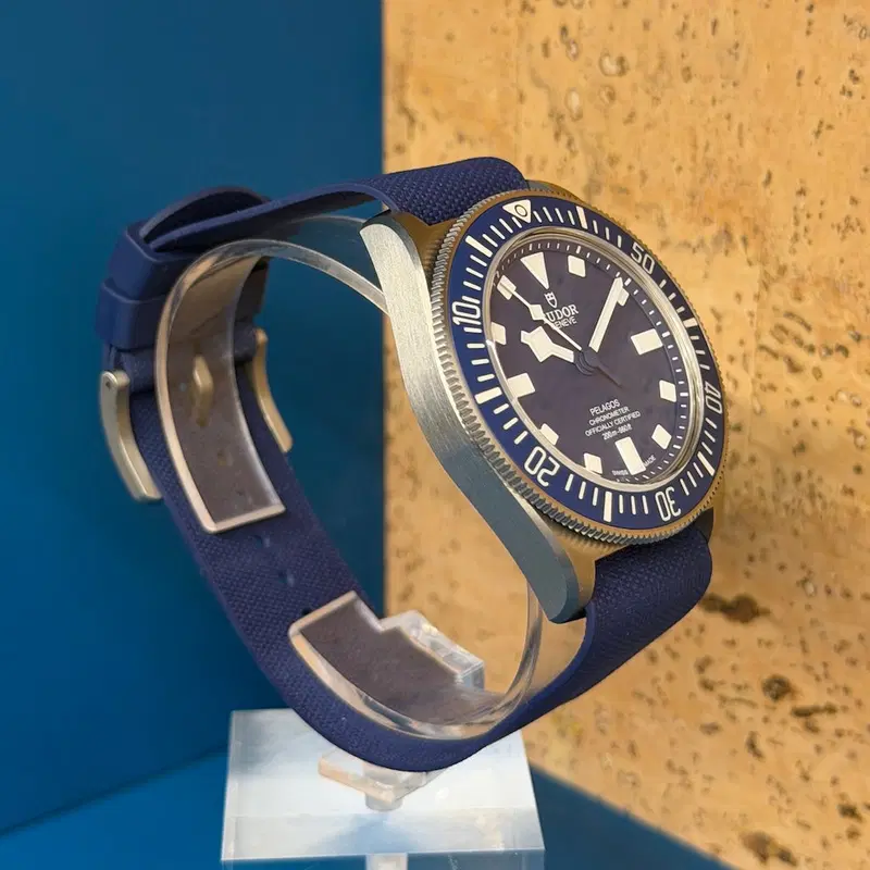 Tudor Pelagos. 25707B